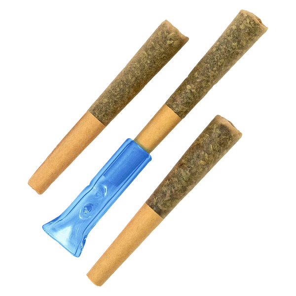 Pure Sunfarms - Blue Dream #16 Diamond Infused Pre Roll