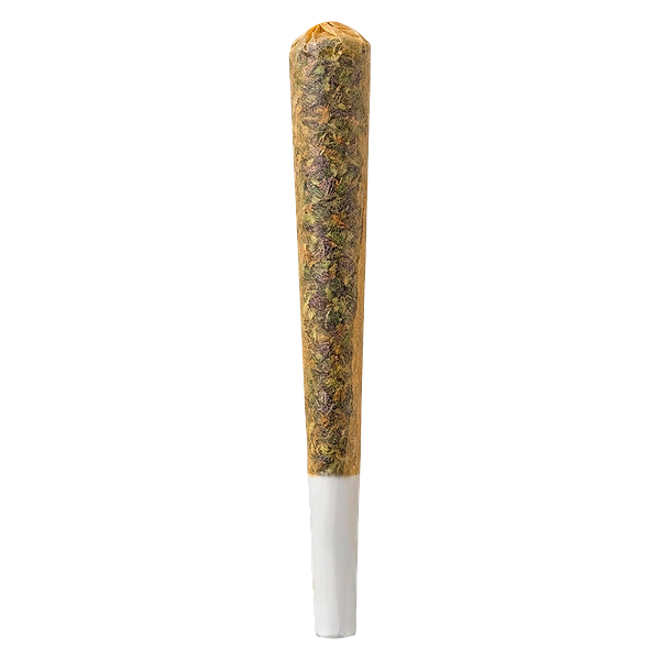 North of 28 - Cottage Country Pre-Roll