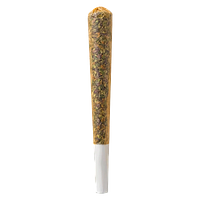North of 28 - Cottage Country Pre-Roll