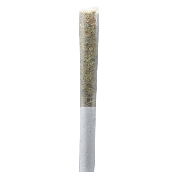 Ono - Permanent Gusher Pre Roll