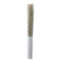 Ono - Permanent Gusher Pre Roll