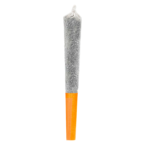 Potluck - Orangutang Infused Pre Roll