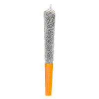 Potluck - Orangutang Infused Pre Roll
