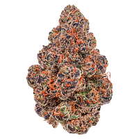 Cheers Cannabis - Craft Series