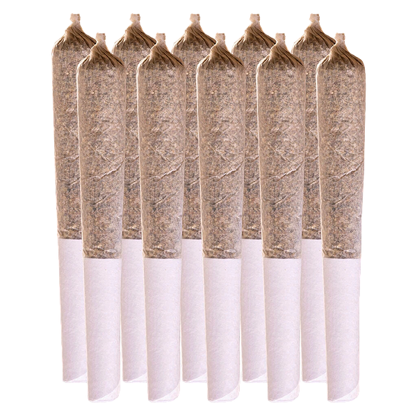 Station House - Summer Legacy Variety Pack Pre-Roll