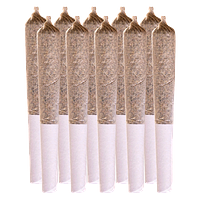 Station House - Summer Legacy Variety Pack Pre-Roll