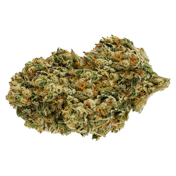 Pure Sunfarms - Backcross Mints image 1