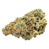 Big Bag O' Buds - East Coast Flamingo