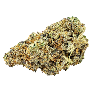 Big Bag O' Buds - East Coast Flamingo