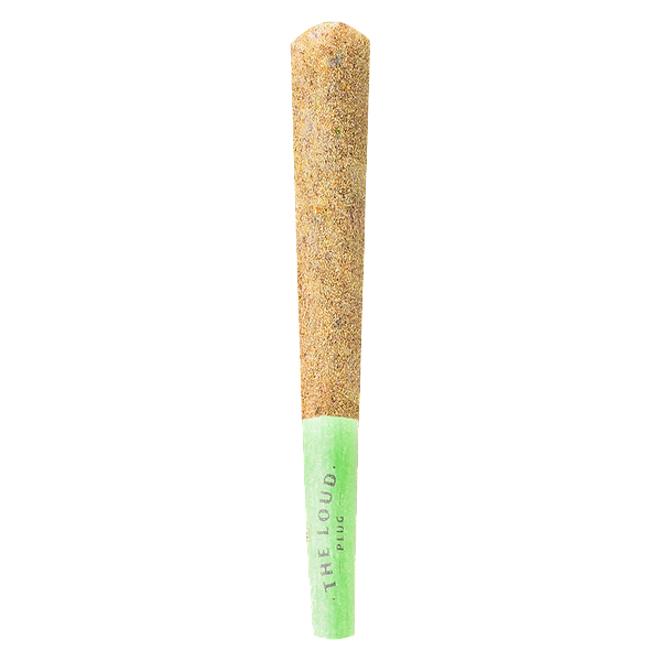The Loud Plug - Drippyz Melonhead Infused Pre-Roll