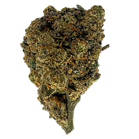 Lighthouse Cannabis Ottawa - Banana Jealousy