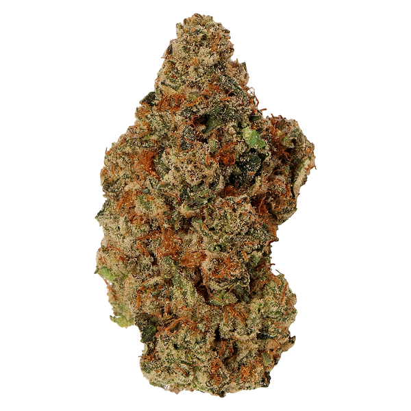 Carmel - Jelly Donut