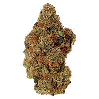 Carmel - Jelly Donut