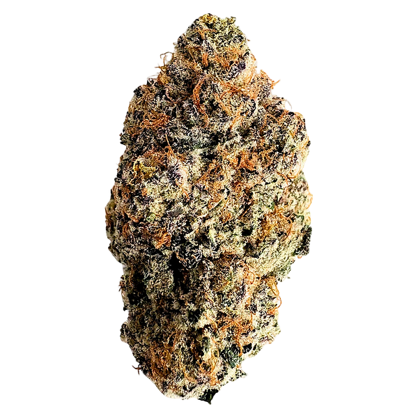 Florakraft - Heptane Dried Flower
