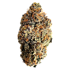 Florakraft - Heptane Dried Flower thumbnail 1