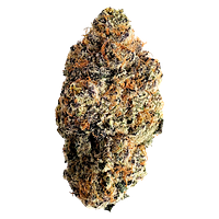 Florakraft - Heptane Dried Flower