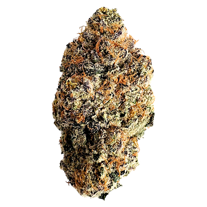 Florakraft - Heptane Dried Flower