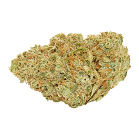 Good Supply - Winter Kush