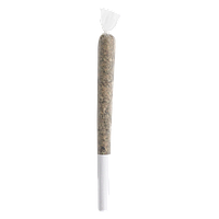 Puffer's Paradise - Do-Si-Dos Dreamz Infused Pre Roll