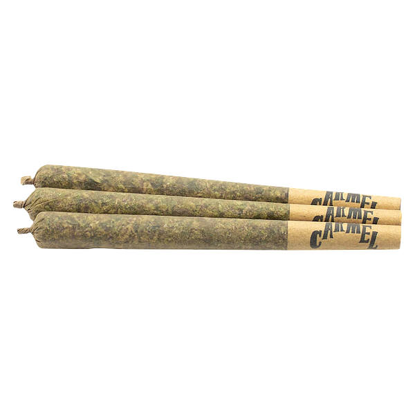 Carmel - Jungle Juice Pre Roll