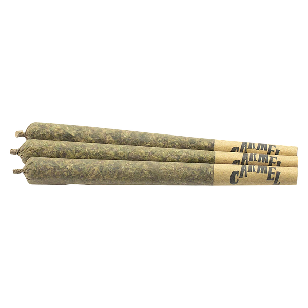 Carmel - Myrtle Beach Pre-Roll