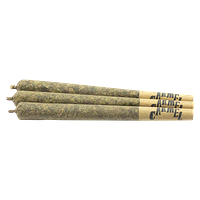 Carmel - Myrtle Beach Pre-Roll
