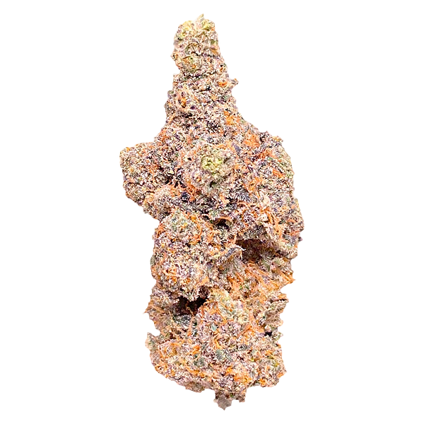 Barrie Dank - Barrie Exotic