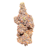 Barrie Dank - Barrie Exotic thumbnail 1