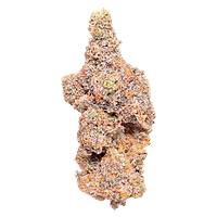 Barrie Dank - Barrie Exotic