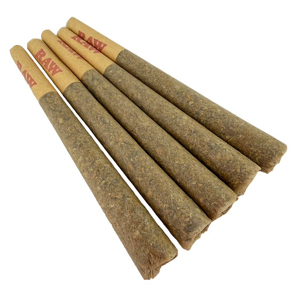 Buzz'd - 5ivealive Pre Roll