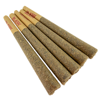 Buzz'd - 5ivealive Pre Roll