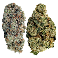Jack Herer - Jack Pack