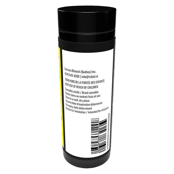 Tribal - Neon Sunshine Pre Roll image 3