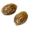 Clone Collector Seed Bank - Tangerine Truffle Breath - Feminized Seeds thumbnail 1