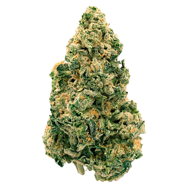 Back Forty - Galactic Jack
