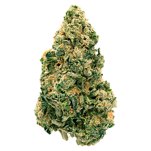 Back Forty - Galactic Jack