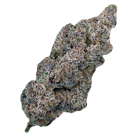 Cultures Chloris - Truffaloha