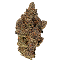 Carmel - Jungle Juice