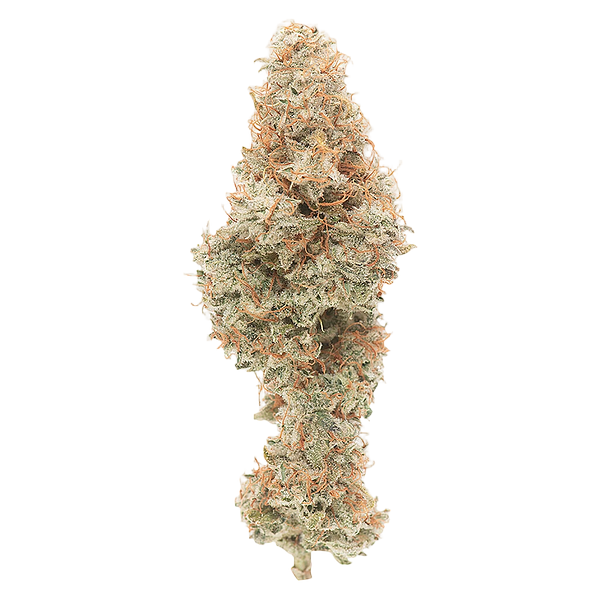 Good Buds - Mango Cake