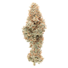 Good Buds - Mango Cake thumbnail 1