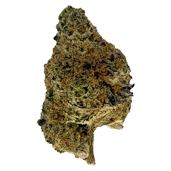 The Oz Store - Nightmare Nugs