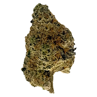 The Oz Store - Nightmare Nugs