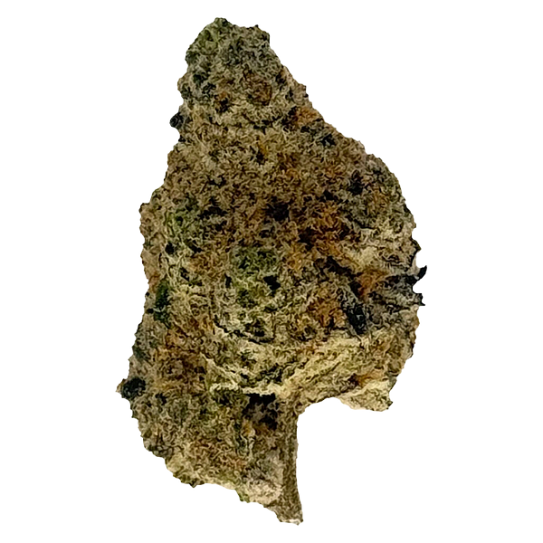 The Oz Store - Santa Clause Kush