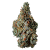 Supernova Farms - Award-Winning Craft Flower thumbnail 1