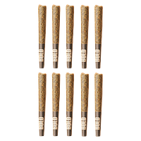 BOLD - Peachy Pie Pre Roll