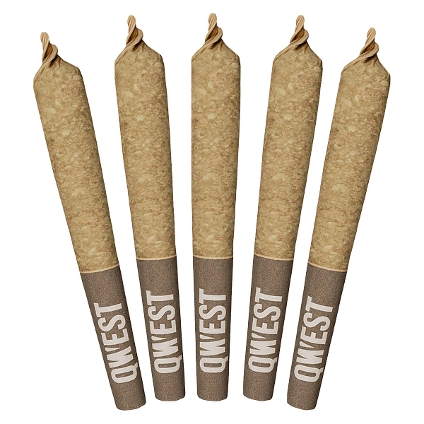 Qwest 35's - Morning Sun Pre-Rolls