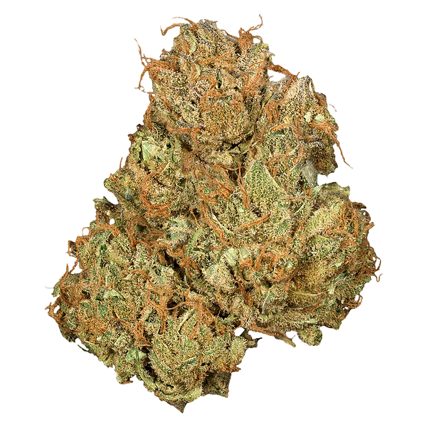 Orchid CBD - Jean Guy Cbd