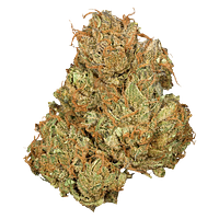 Orchid CBD - Jean Guy Cbd