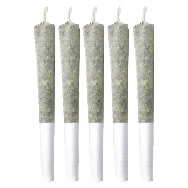 Sitka Legends - Cherry Chatter Pre Roll