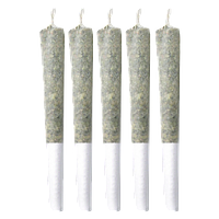 Sitka Legends - Cherry Chatter Pre Roll